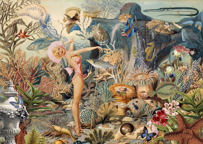 A Series Of Vintage Collages Inspired By Nature And Other Worlds