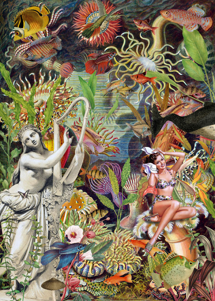 A Series Of Vintage Collages Inspired By Nature And Other Worlds A Series Of Vintage Collages Inspired By Nature And Other Worlds
