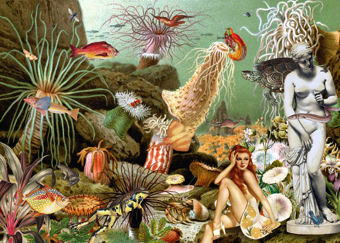 A Series Of Vintage Collages Inspired By Nature And Other Worlds A Series Of Vintage Collages Inspired By Nature And Other Worlds