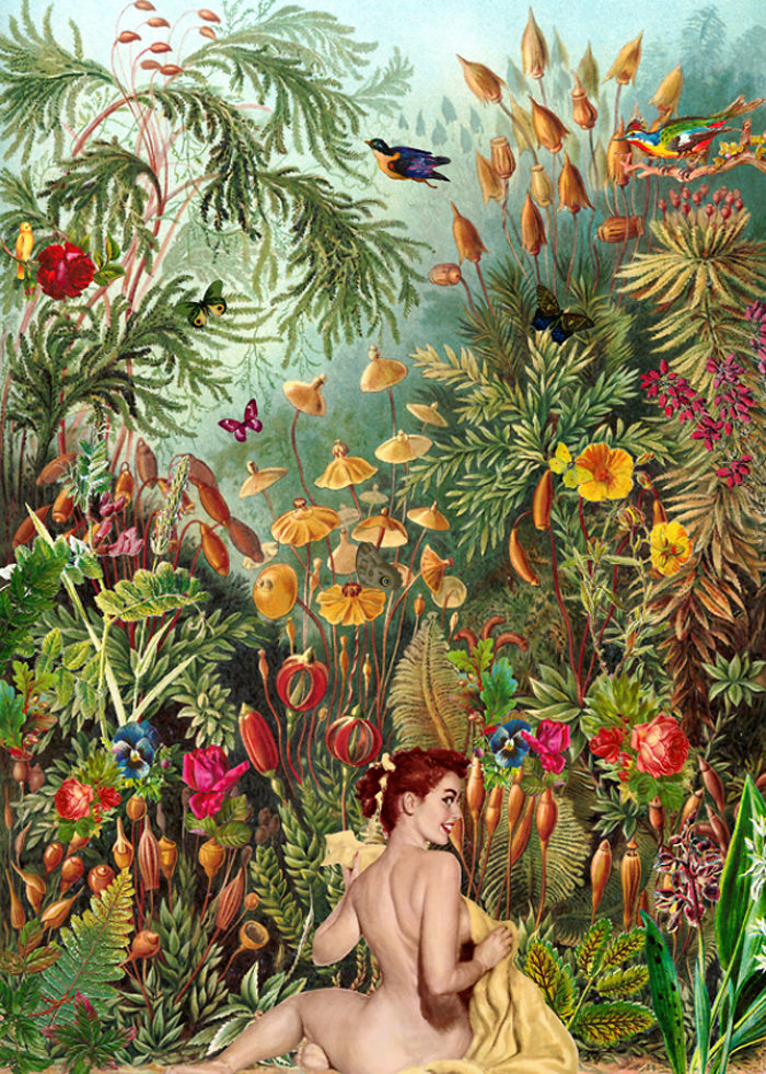 A Series Of Vintage Collages Inspired By Nature And Other Worlds A Series Of Vintage Collages Inspired By Nature And Other Worlds