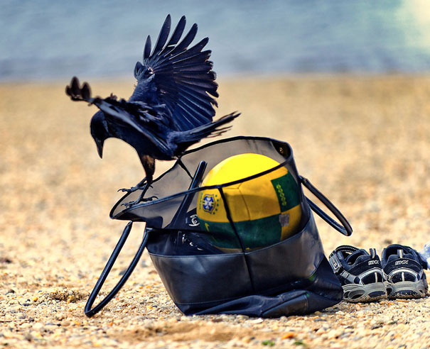 Lets See What You Got There