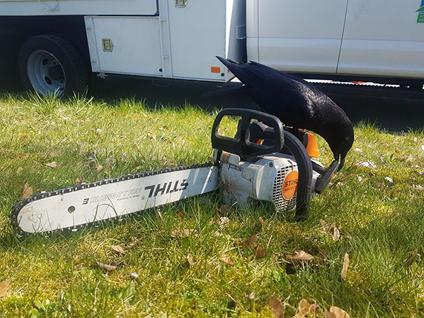 The New Chainsaw Massacre Has Found It's New Star