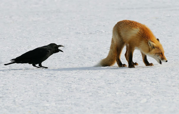 And Don't Ever Set A Foot Here Again!