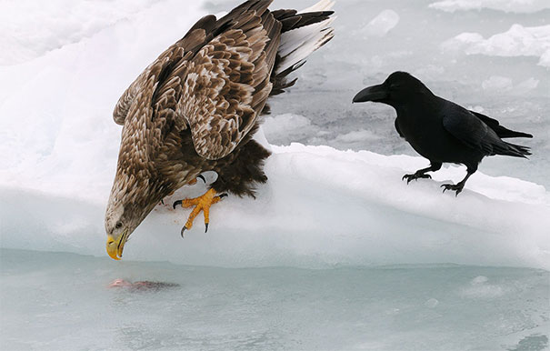 Just Casually Waiting For A Steal