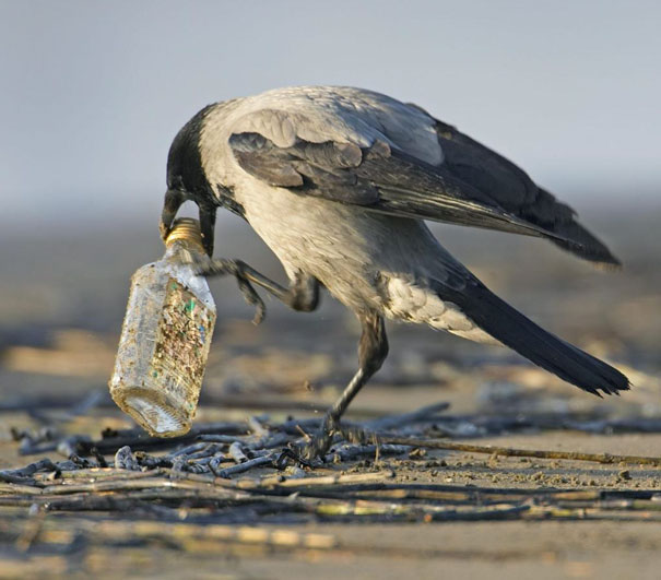This One Is Always Up For A Drink