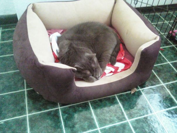 Omg!! Stop Your Yapping!!