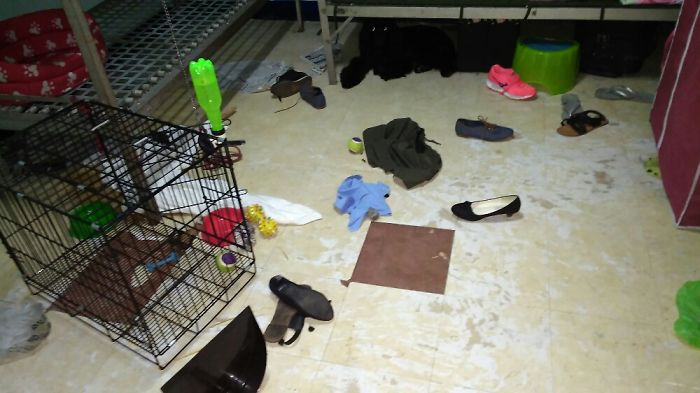 Kuru Is On Barracks Duty And He Is Hiding.kuru, Where Are You?