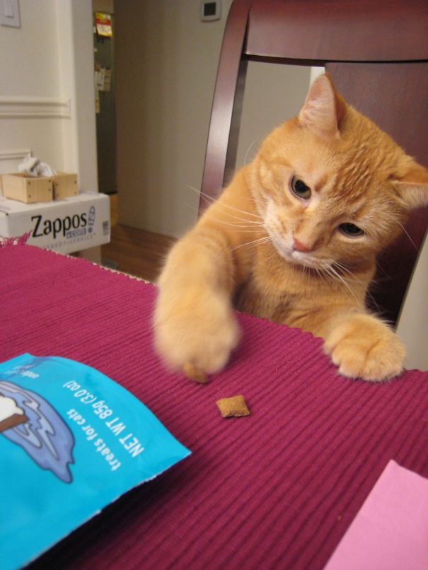 "mind Your Table Manners," Says Mr. Higgins.