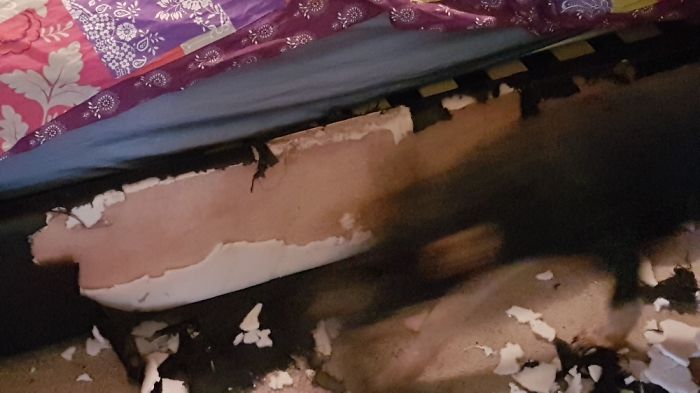 Apparently The Bed Started It