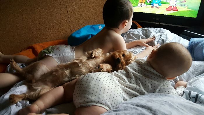 She Needs 2 Humans To Keep Her Comfy