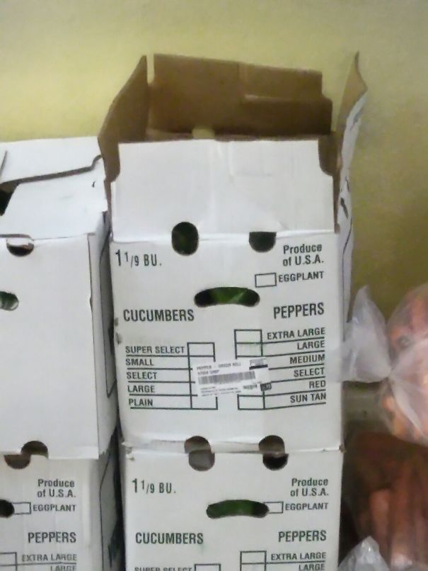 This Box Is Very Concerned