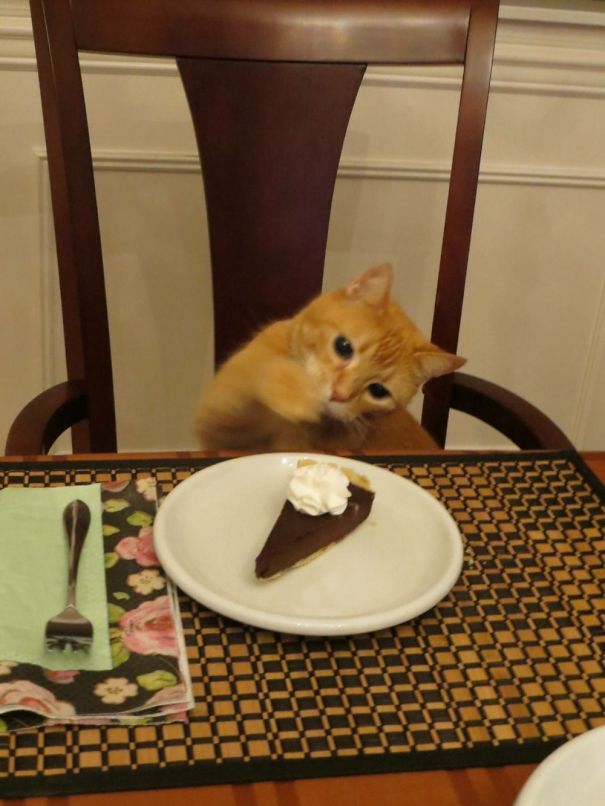 My Share! I'm Part Of The Family.