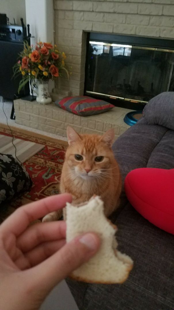 Can I Have Some, Please? Please?