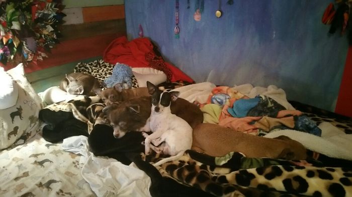 I Used To Sleep With My Husband Lol But We Didnt All Fit! Please Rescue