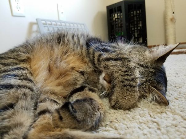 Bright Lights! Bright Lights!