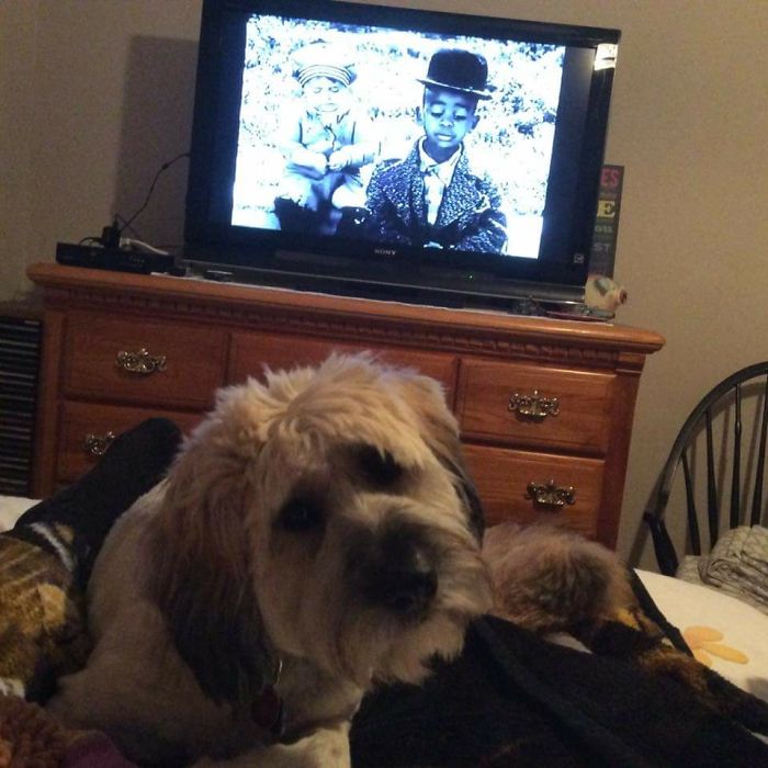 Watching" Our Gang" With Minnie Pearl.