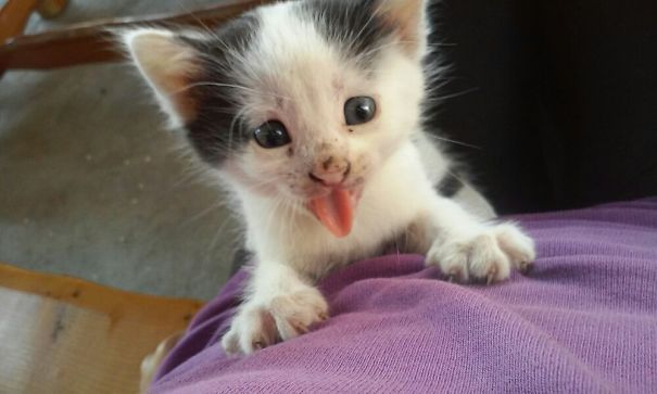 I Don't Even Know What To Say About This One