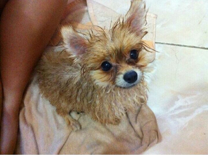 This Looks When She's Done