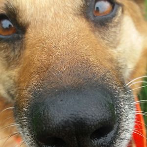 zsuzsa_kucserka avatar