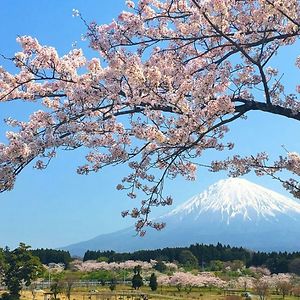 mnurahmanabuabdillah avatar