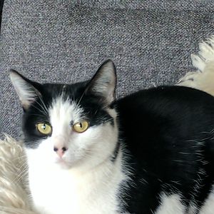 johanneguldbergwinding avatar