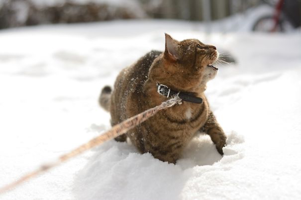 What Is This Witchcraft??