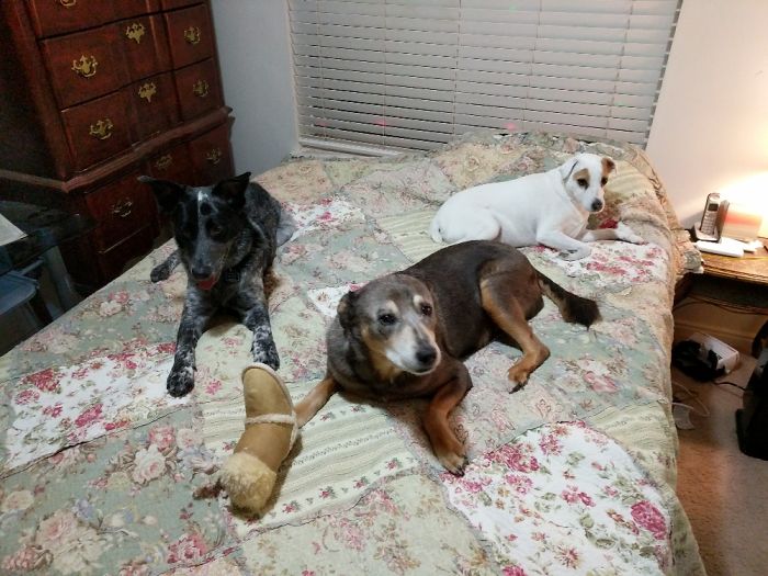 Oh, I'm Sorry. Did You Want To Lie Down?