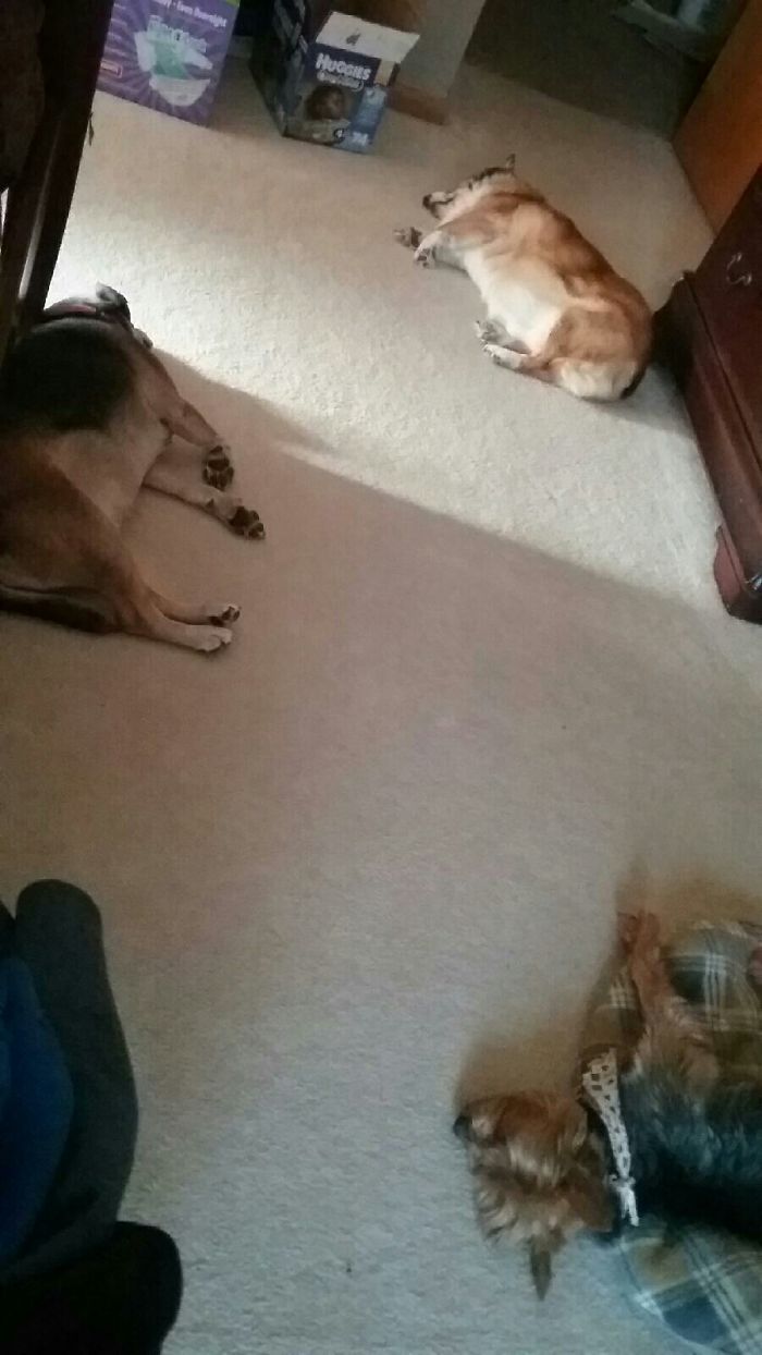 What I Wake Up To Every Morning.