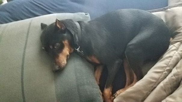 He Stole My Boyfriend's Spot On The Bed. I Caught Him.