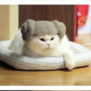 suhailasuhirman avatar