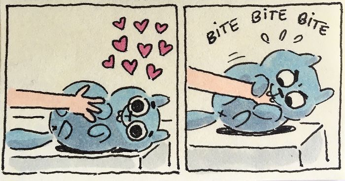 I Capture What It’s Like Living With My Cats