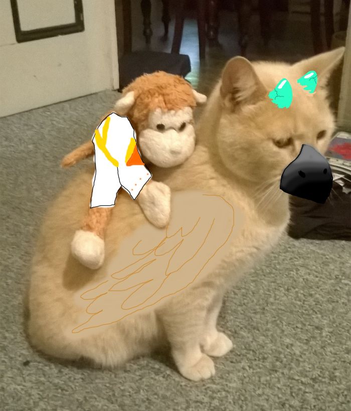 Remember Me? Trico Cat From The Last Guardian