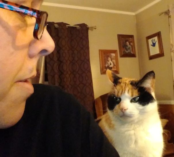 I Said My Bowl Is Empty, Human!