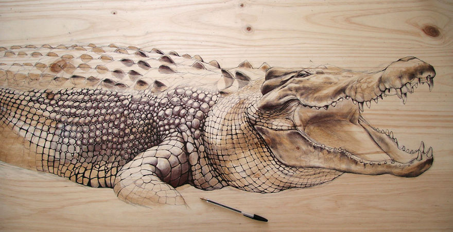 My Nature-Inspired Drawings That I Create On Recycled Wood