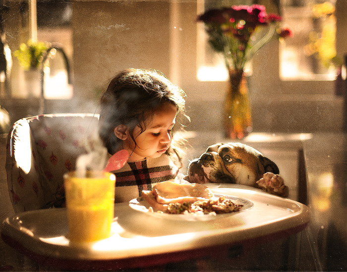 I Tried Photographing My Daughter And My Dog And This Is What Happened