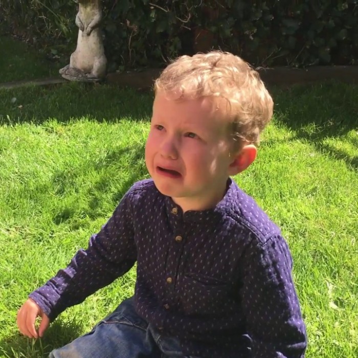 Our Baby Gender Reveal Didn’t Exactly Go According To Plan