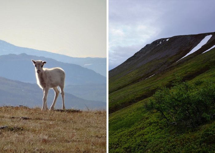 Härjedalen: Mountains & Waterfalls Of Northern Sweden