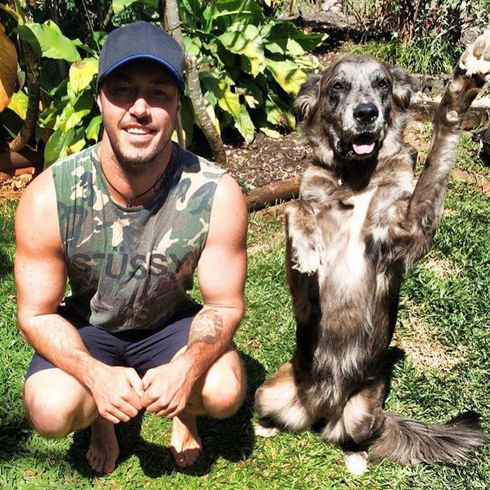 crazy-aussie-dog-rescue-guy-ryan-anderson-1 crazy-aussie-dog-rescue-guy-ryan-anderson-1