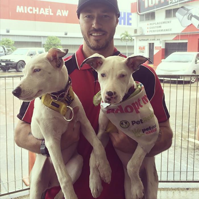 crazy-aussie-dog-rescue-guy-ryan-anderson-25 crazy-aussie-dog-rescue-guy-ryan-anderson-25