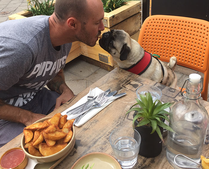 crazy-aussie-dog-rescue-guy-ryan-anderson-32 crazy-aussie-dog-rescue-guy-ryan-anderson-32