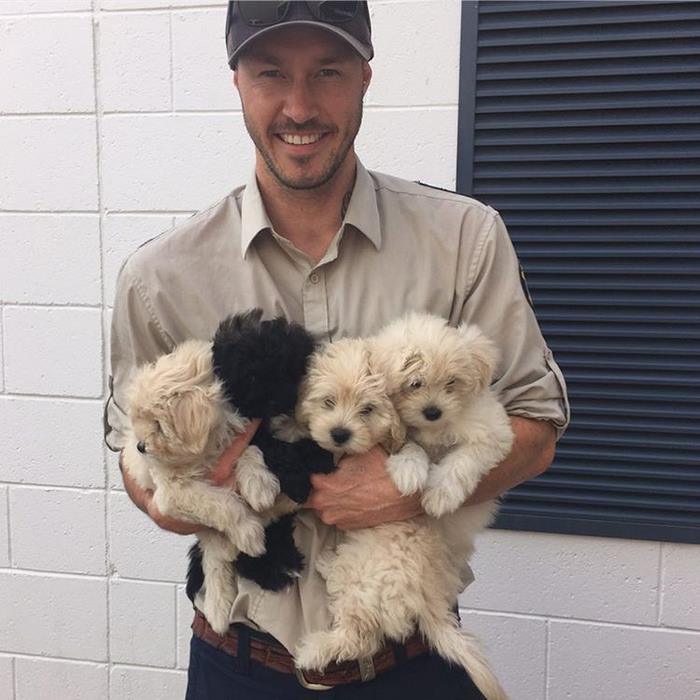 crazy-aussie-dog-rescue-guy-ryan-anderson-5 crazy-aussie-dog-rescue-guy-ryan-anderson-5