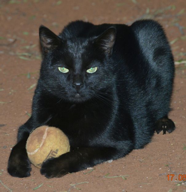 Touch This. You Die.