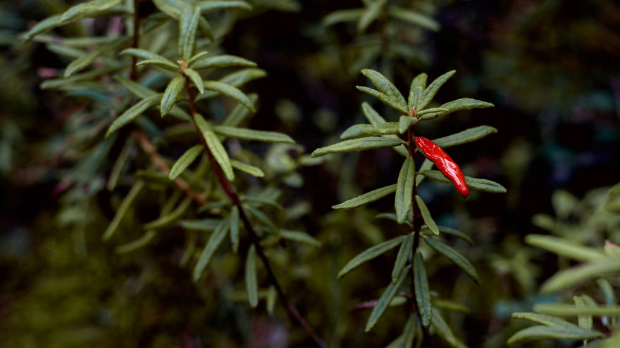 I Created Series Of Pictures On Womanhood I Created Series Of Pictures On Womanhood