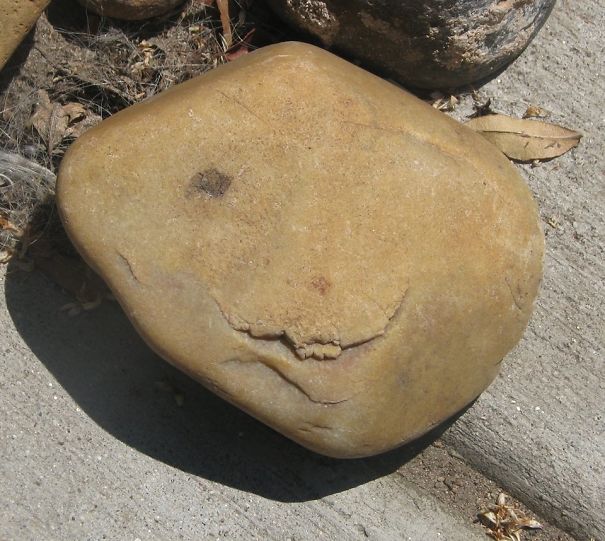 Derpy One-eye Rock.