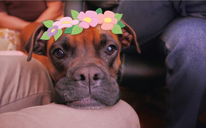 Look, I`m A Flower Princess! Do You Like Me?