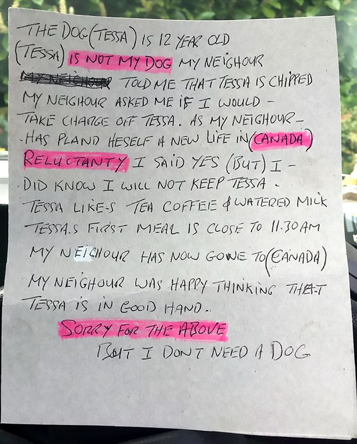 dog-left-abandoned-field-note-tessa-4 dog-left-abandoned-field-note-tessa-4