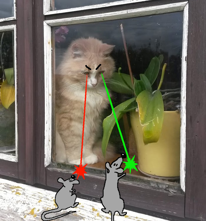 My Friend's Lazy Cat As A Mighty Supervillain