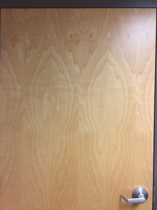 They Are Watching....