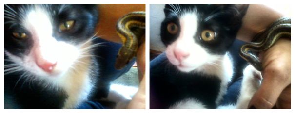 Wait... You Said What Is Behind Me ?!?!?