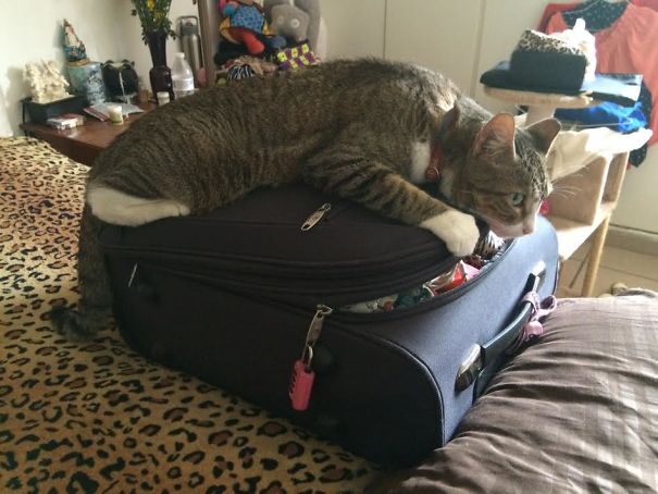 You Are Not Going Anywhere....without Me...